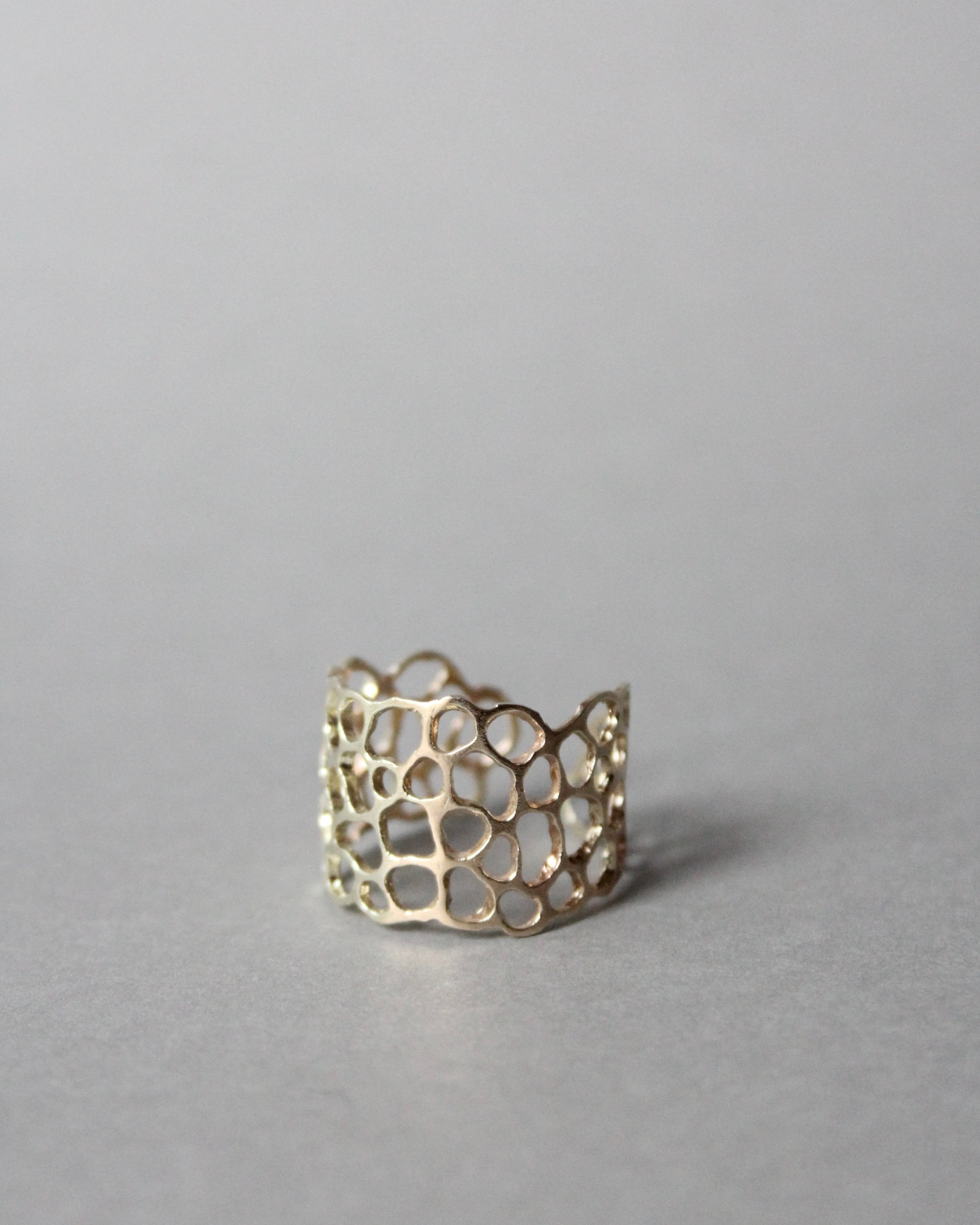 キヌガサタケ幅広リング