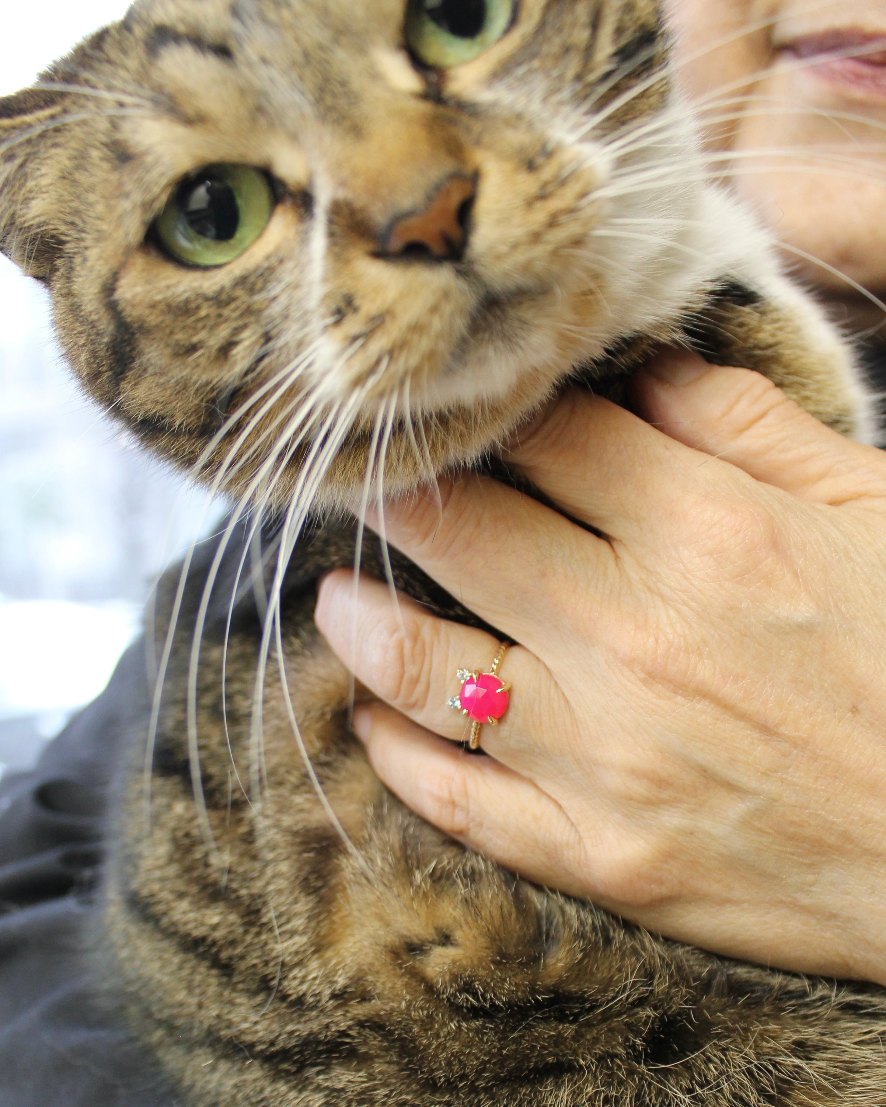 【K10】Twist ring “CAT” シャローズヴィフ