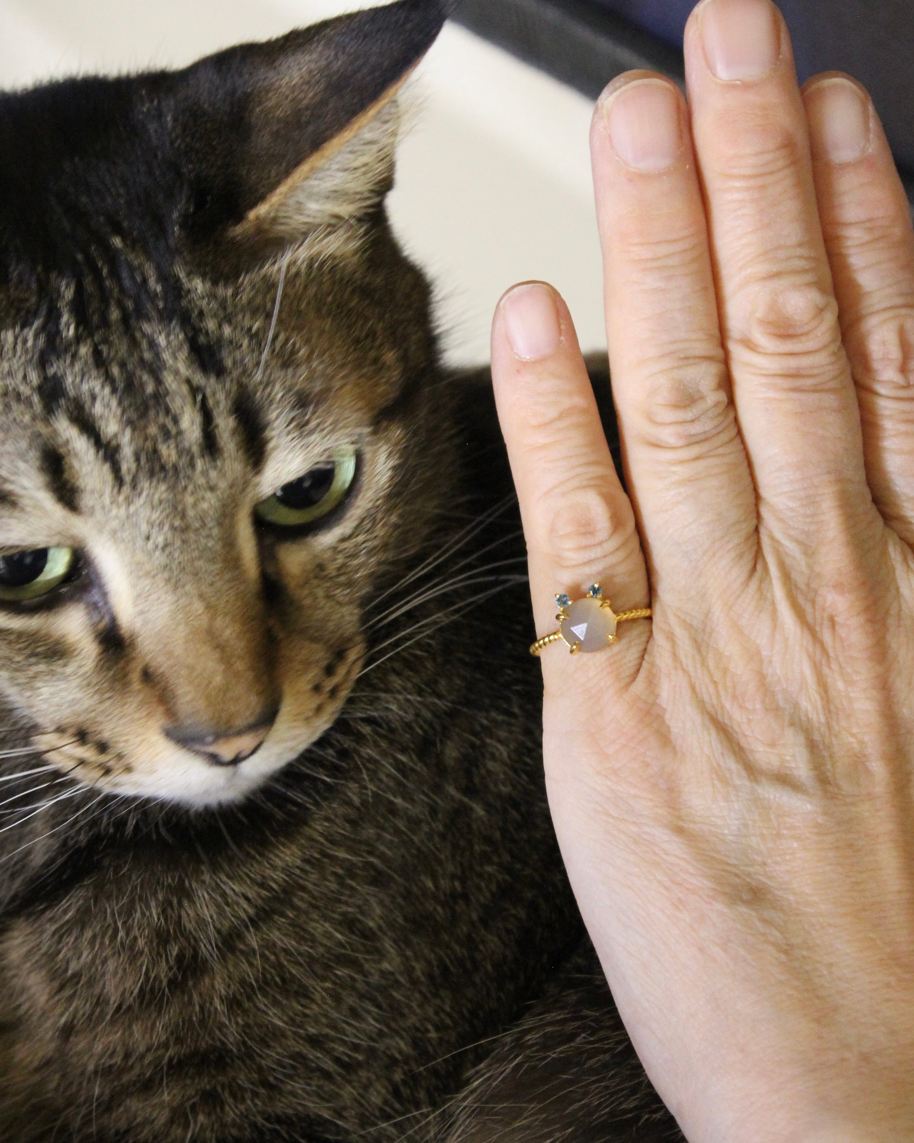 【K10】Twist ring “CAT” シャグリーズ