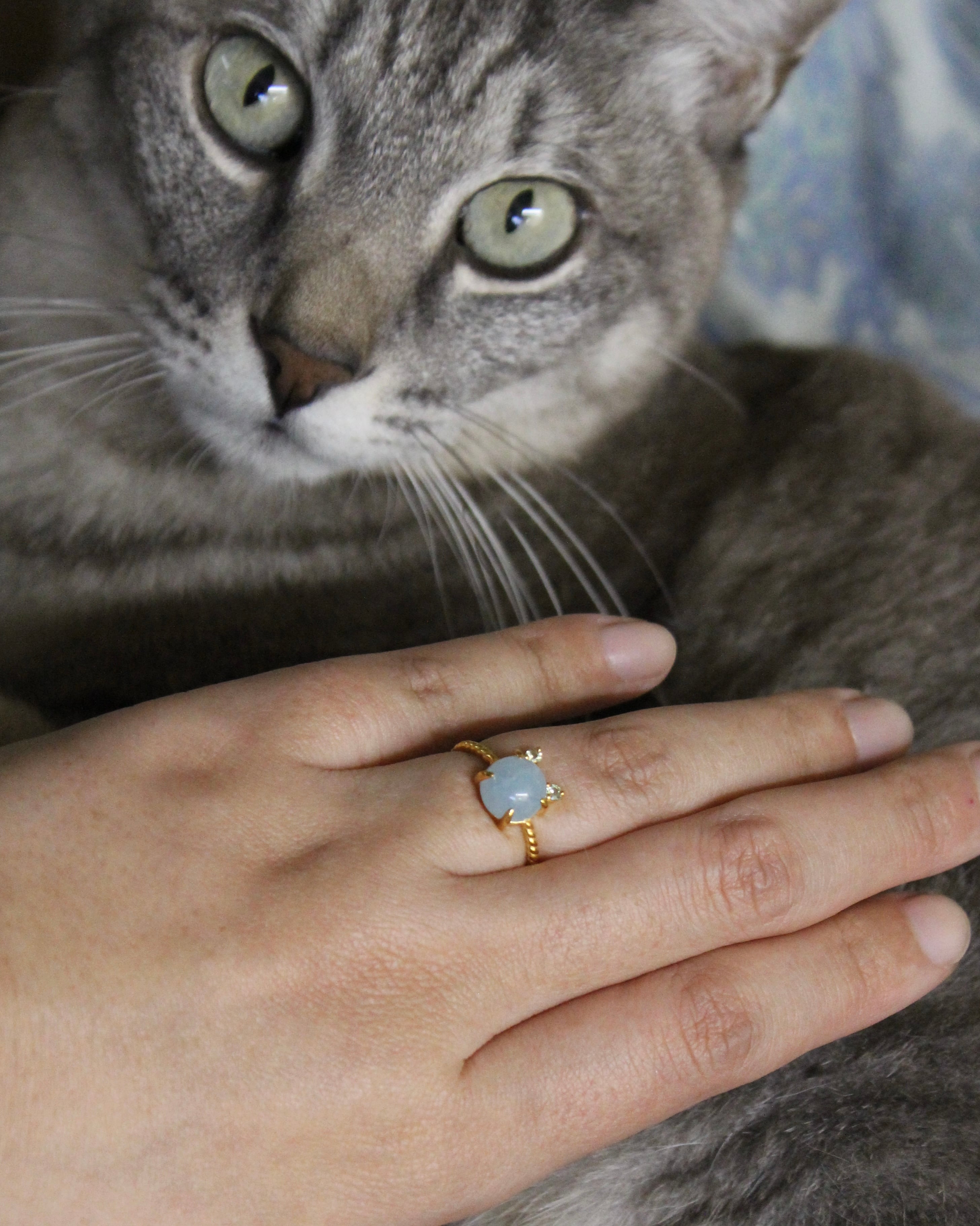 【Silver925】Twist ring “CAT” シャトンブルークレール
