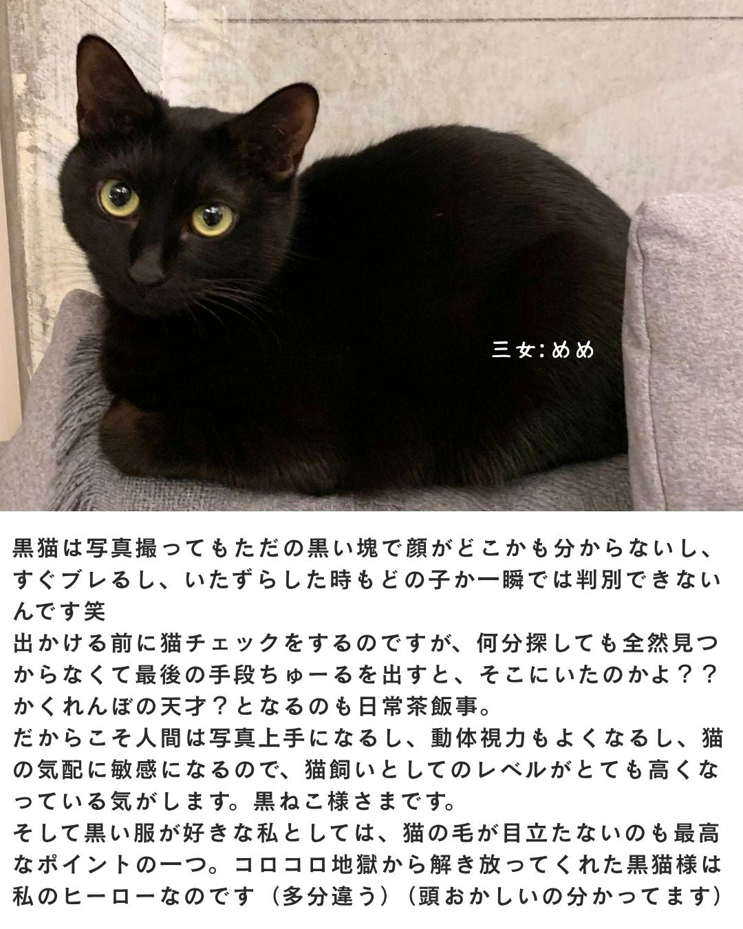 【黒ねこ意匠コラボ】Twist “CAT” Robin