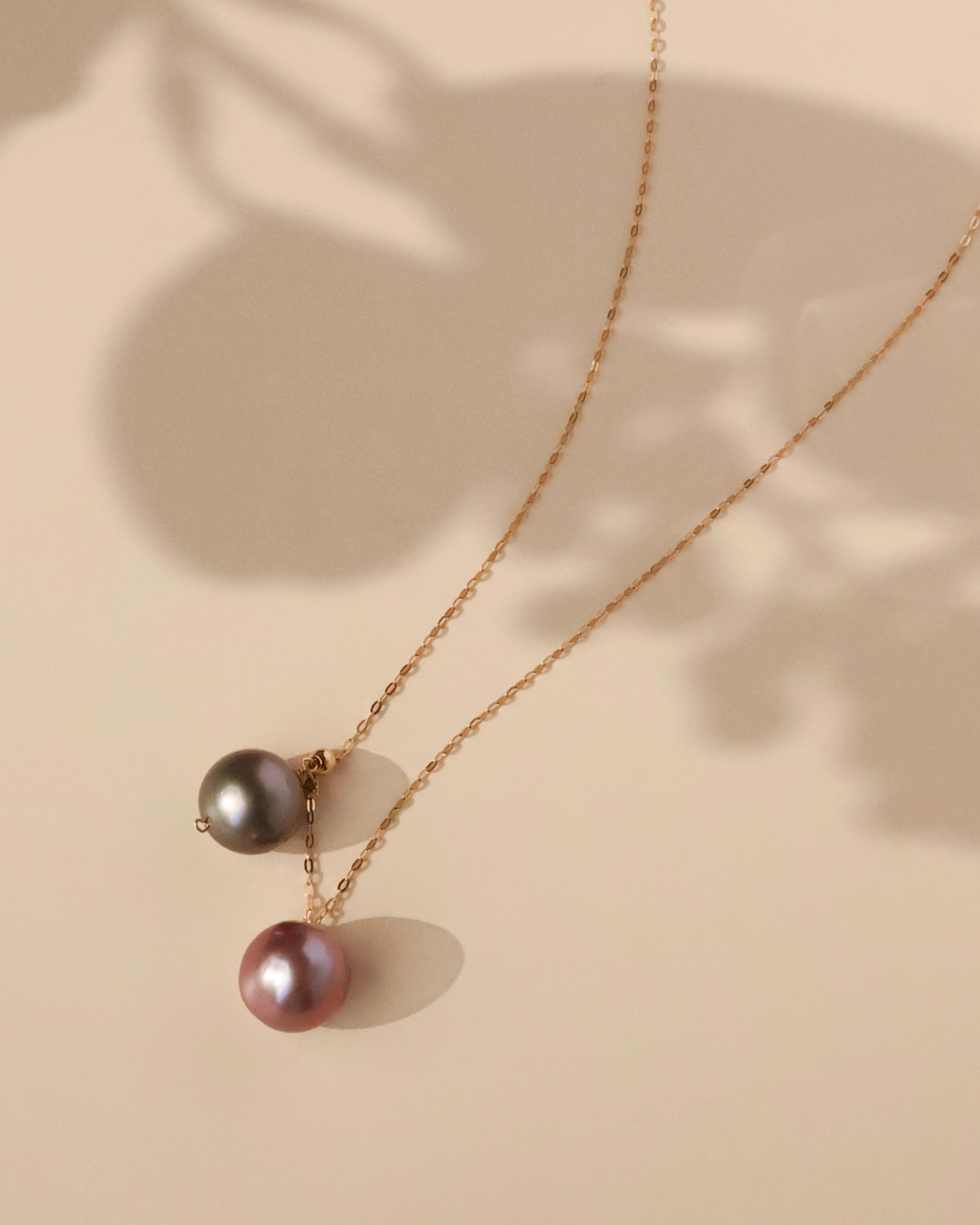 “私の庭” ピノノワール