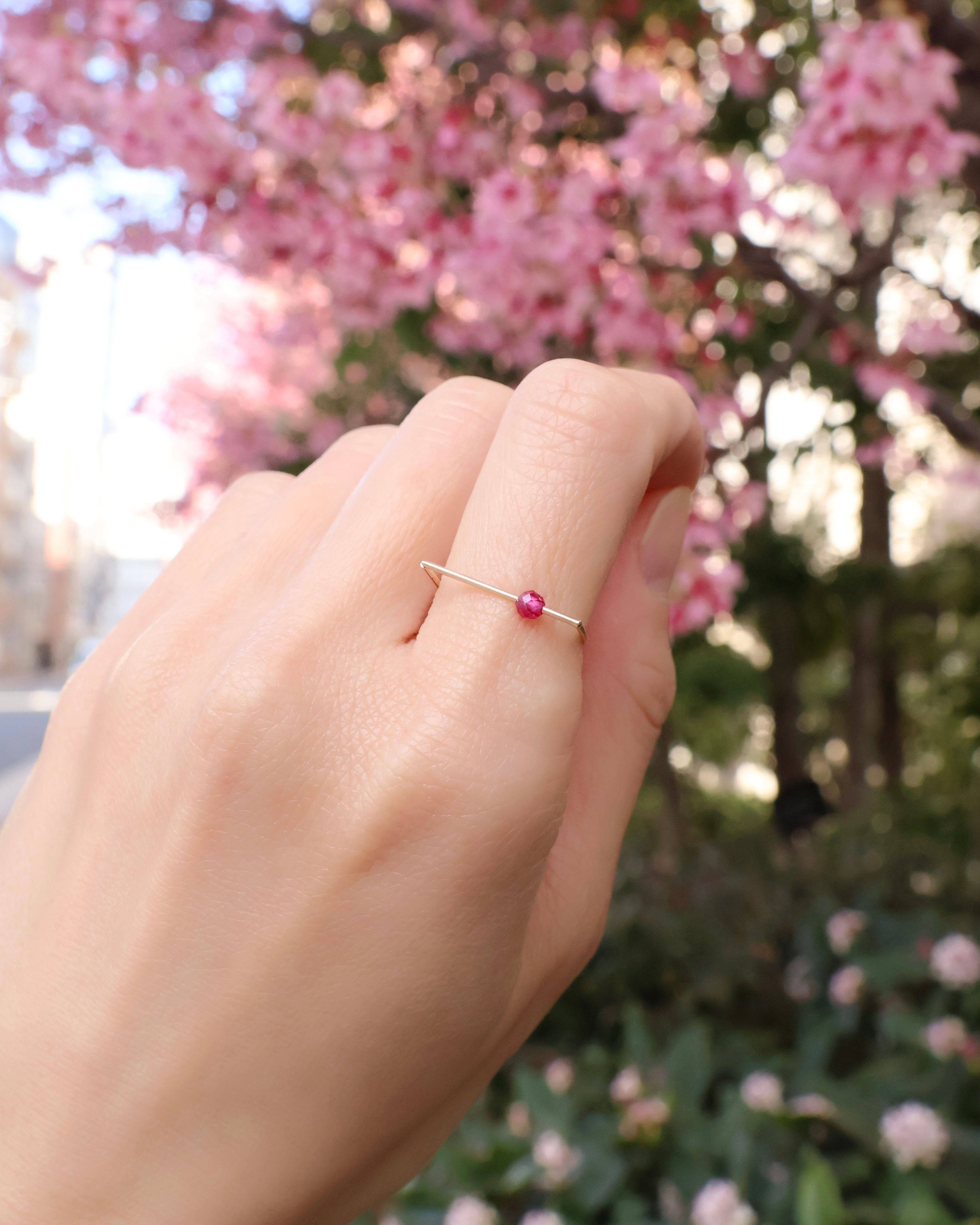 【2026年3月限定】D ring “pink pepper”